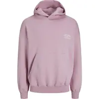 Jack & Jones Moletom Com Capuz Santorini Graphic