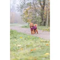 Trixie Casaco Para Cachorro Pirou