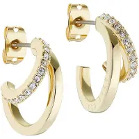 Ted Baker Brincos 'HELIAS' ouro / transparente