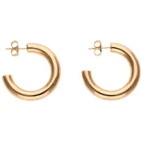 NAEMI Brincos ouro