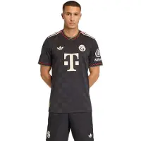 Adidas Camisola de futebol 'UCL 25-26' creme / verde / vermelho / preto