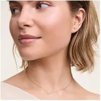 Daniel Wellington Piccolo Orecchino Singolo In Acciaio Con Cristallo — Orecchino