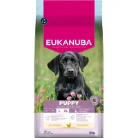 Eukanuba Ração Para Cachorros L Xl Rica Em Frango 15 Kg
