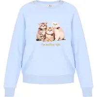 MyMo Pop Sweatshirt 'Pop' bege / azul claro / bordeaux / preto