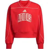 Adidas Moletom Stadium