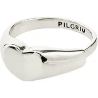 Pilgrim Anel 'Arin' prata