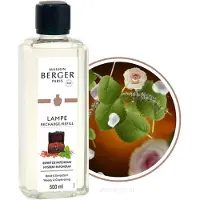 Maison Berger Mystery Patchouli catalytic lamp Ricarica (Lampe Recharge/Ricarica) - 500 ml