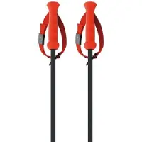 Fischer Bastões Rd 13 Carbon