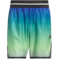 Adidas Calções Crazy Lite AOP