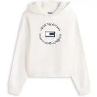Tommy Hilfiger Moletom Com Capuz Bxy Ess Logo 1