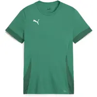 Puma Camisa funcionais cana / verde escuro / branco