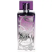 Lalique Amethyst Eclat EDP 100ml — Eau de Parfum