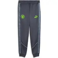 Puma Calças Manchester City Fc King Anthem