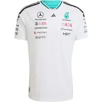 Adidas Camisa funcionais 'Mercedes - AMG Petronas Formula 1 Team Driver' vermelho / preto / branco