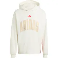 Adidas Moletom Com Capuz Stadium Graphic