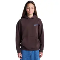 Element Moletom Com Capuz Sunrise