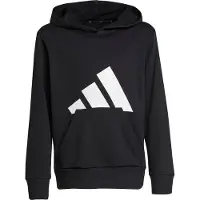 Adidas Sweat-shirt carapuço Essentials Hoodie Kids criancas - Preto - 11 / 12 ans