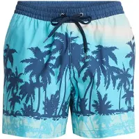 Quiksilver Calção De Banho Everyday Printed Volley 15´´