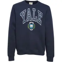 Blend Sweatshirt azul claro / azul escuro / verde / branco