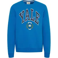 Blend Sweatshirt azul / mistura de cores
