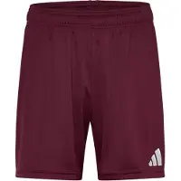 Adidas Calças de desporto 'Entrada26' vermelho vinho