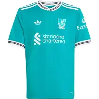 Adidas Camisa funcionais 'FC Liverpool 25-26' verde claro / preto / branco