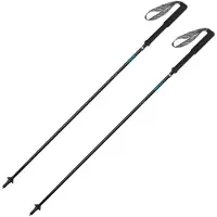 Gabel Bastões Carbon Feather-r