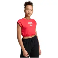 Adidas Camiseta De Manga Curta Seasonals Collegiate Typography