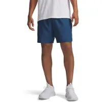 Under Armour Calções Tech Woven Wordmark