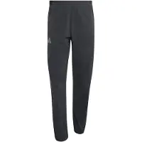 Adidas Calças Leves Terrex Xperior CLIMA365