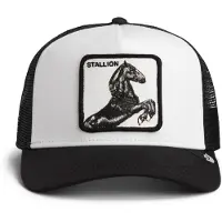 GOORIN BROS. Boné 'Gorra goorin bros negra/blanca caballo stallion 5' preto