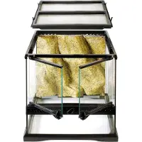 Exo Terra Terrário Natural Nano Largo Para Répteis