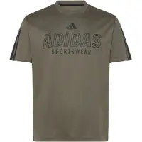 Adidas T-shirt House Of Tiro Wordmark