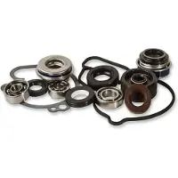 Hot Rods Kit De Reconstrução Da Bomba De água Wpk0031 Kawasaki Kx 100 1995-2019