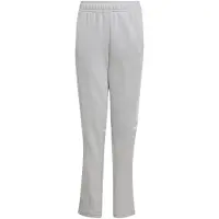 Adidas Calça Moletom Squadra 25