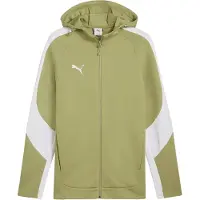 Puma Casaco de treino em moletão 'teamEVOSTRIPE' kiwi / branco