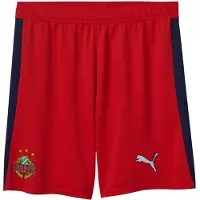 Puma Calças de desporto 'SK Rapid Wien 2025/2026' marinho / verde claro / vermelho / branco