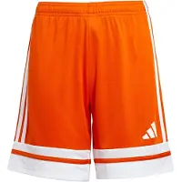 Adidas Calções Squadra 25