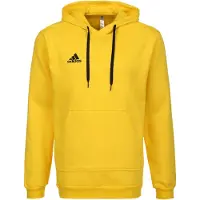 Adidas Moletom Com Capuz Entrada 22