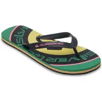 Quiksilver Chinelos Molokai Screen