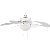 Orbegozo Teto Com Ventilador De Luz