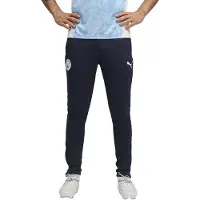 Puma Calças Treinamento Manchester City Fc 25/26