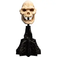 Weta Workshop Figura Lord Of The Rings Mini Skull Of Lurtz 14 Cm