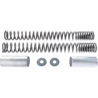 Wirth Federn Molas de garfo progressivas Wilbers GSX 1400