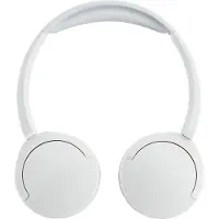 Panasonic Fones De Ouvido Sem Fio Rb-hf630be-w