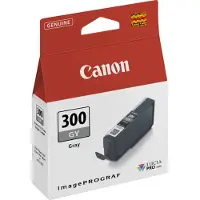 Canon Cartucho De Tinta Pfi-300 Gy