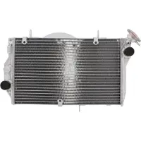 JMP RADIADOR DE ÁGUA HONDA CBR 1100 AF 01-08