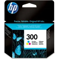 HP Cartucho De Tinta 300