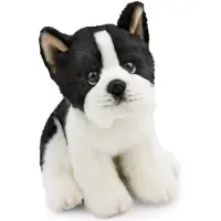 Nici Cachorro Boston Terrier Teddy 20 Cm