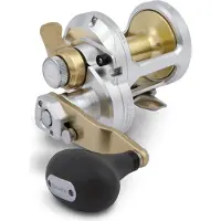 Shimano Molinete De Pesca De Corrico Talica